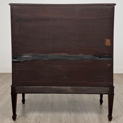 ANTIQUE 18TH CENTURY GEORGIAN CUPBOARD IN MAHOGANY - ADDITIONAL PHOTO 5