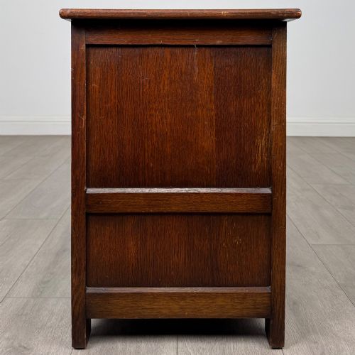 ANTIQUE 20TH CENTURY SMALL EDWARDIAN MULE CHEST IN OAK - ADDITIONAL PHOTO 2