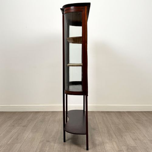 ANTIQUE 20TH CENTURY GLAZED DISPLAY CABINET IN MAHOGANY - ADDITIONAL PHOTO 3