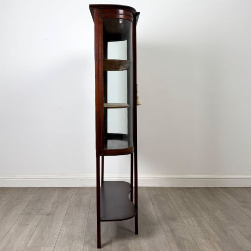ANTIQUE 20TH CENTURY GLAZED DISPLAY CABINET IN MAHOGANY - ADDITIONAL PHOTO 7