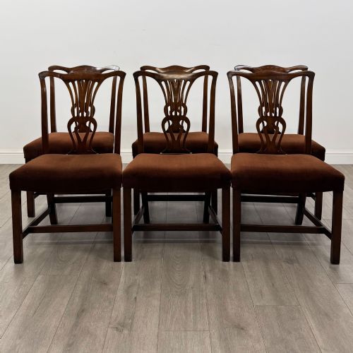 Antique 20th Century Set of 6 Georgian Style Dining Chairs