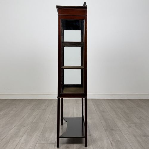 fig 3. An Edwardian mahogany display cabinet featuring a painted inlaid floral frieze, single astragal glazed door, fabric-lined interior shelves, and tapered legs with a lower undertier.