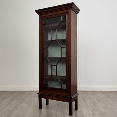 fig 1. A tall, narrow Georgian mahogany display cabinet featuring a single geometric astragal glazed door and internal fabric-lined shelves.
