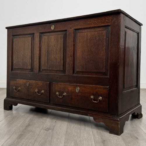 fig 1. An eighteenth-century dark oak mule chest featuring three raised panels on the front enclosure above two drawers with brass handles, raised on bracket feet.