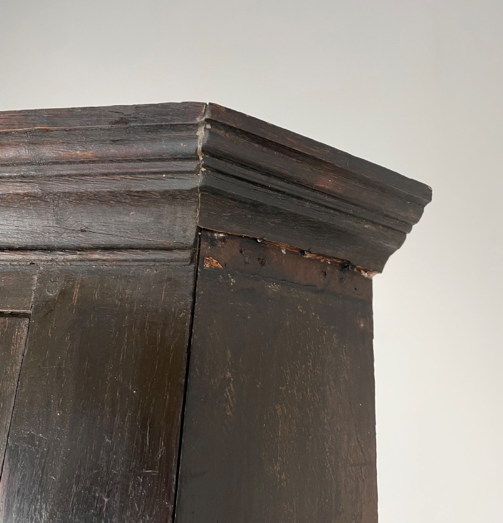 Antique 18th Century Corner Cupboard In Oak View VIII