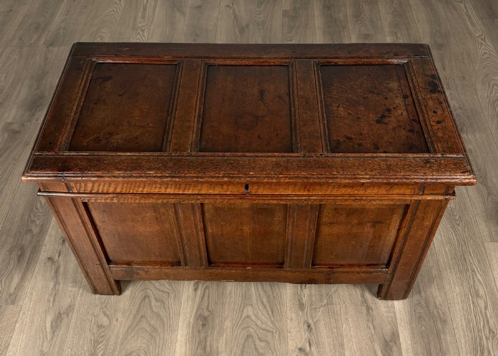 Antique 18th Century Coffer / Blanket Box In Oak View II