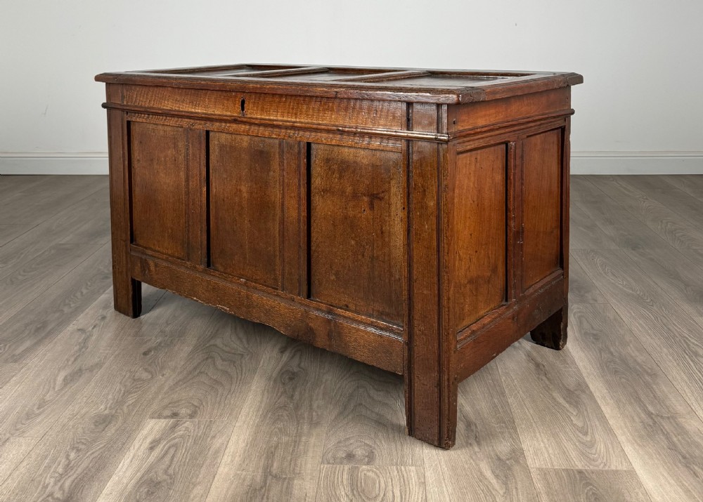 Antique 18th Century Coffer / Blanket Box In Oak View III