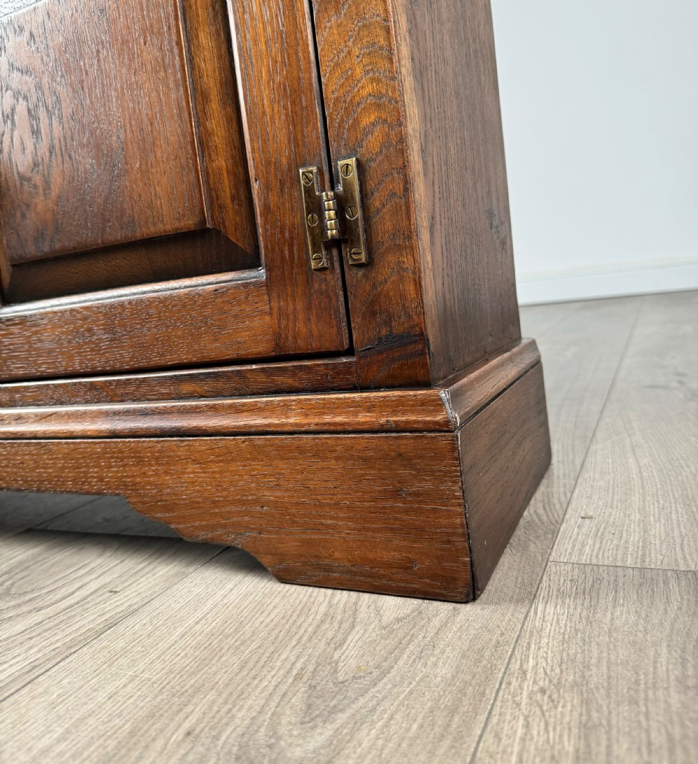 Antique 20th Century Bookcase Of Small Proportion In Oak View XII