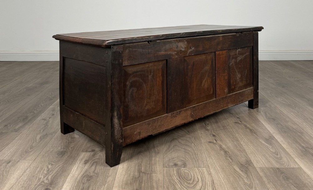 Antique 18th Century Carved Blanket Box In Oak View IV