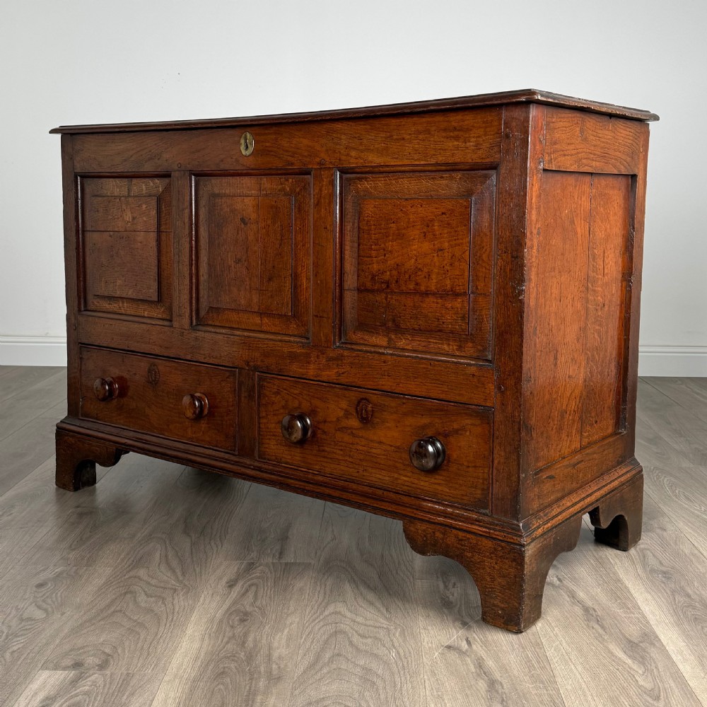 Antique 18th Century Mule Chest / Coffer In Oak 
 View XI