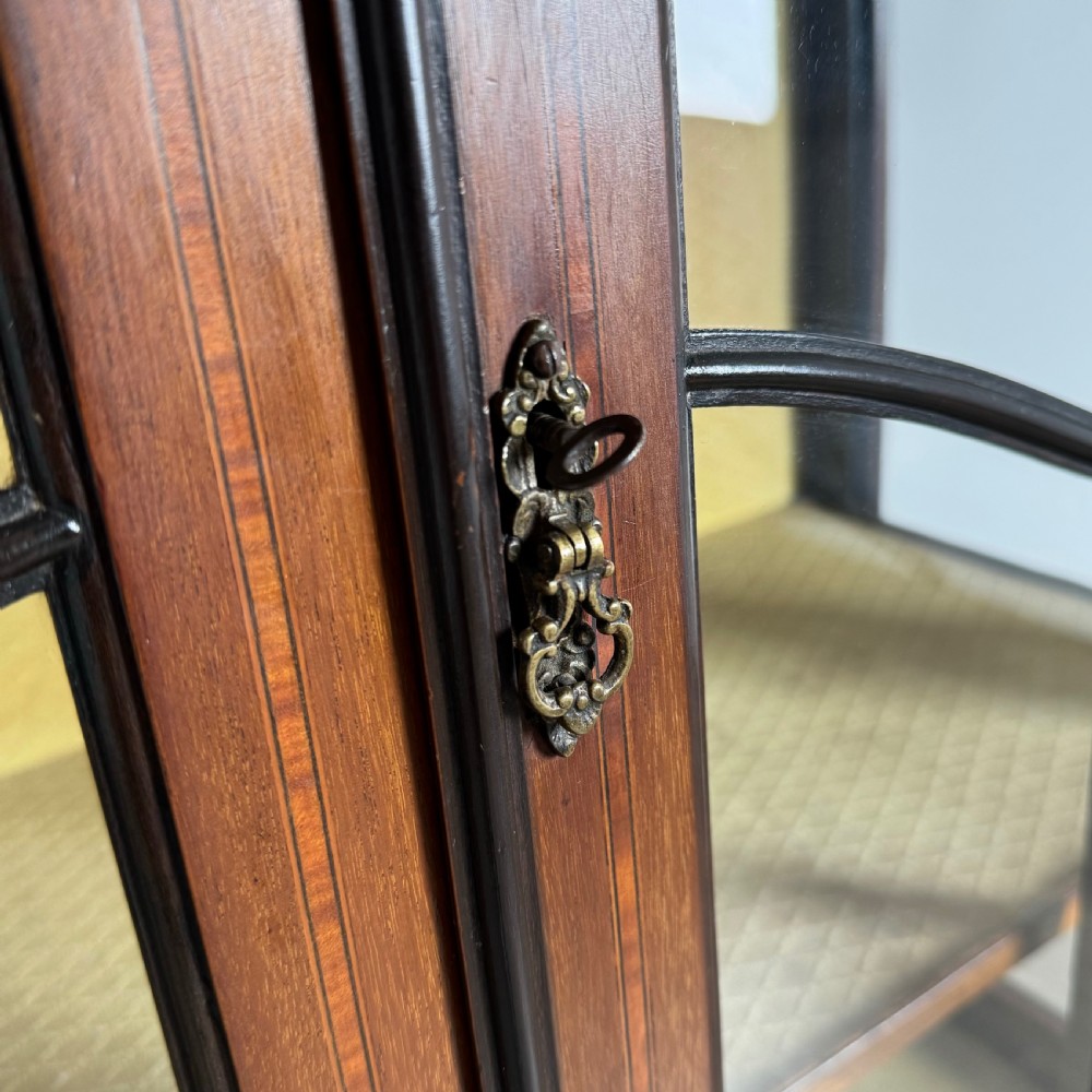 Antique 19th Century Display Cabinet In Mahogany View XII