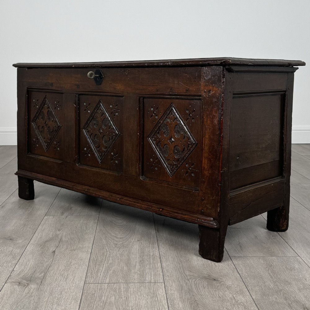 Antique 18th Century Fine Quality Coffer / Blanket Box In Oak
 View II