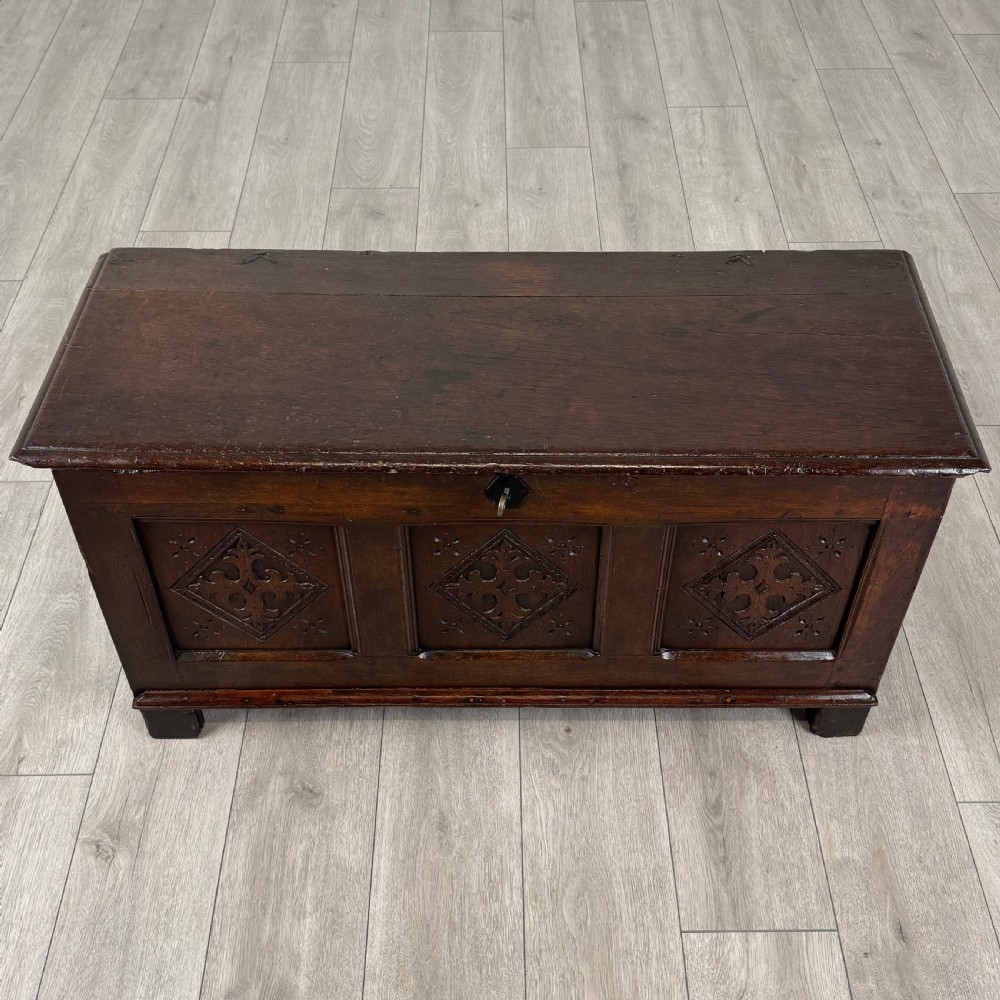 Antique 18th Century Fine Quality Coffer / Blanket Box In Oak
 View IX