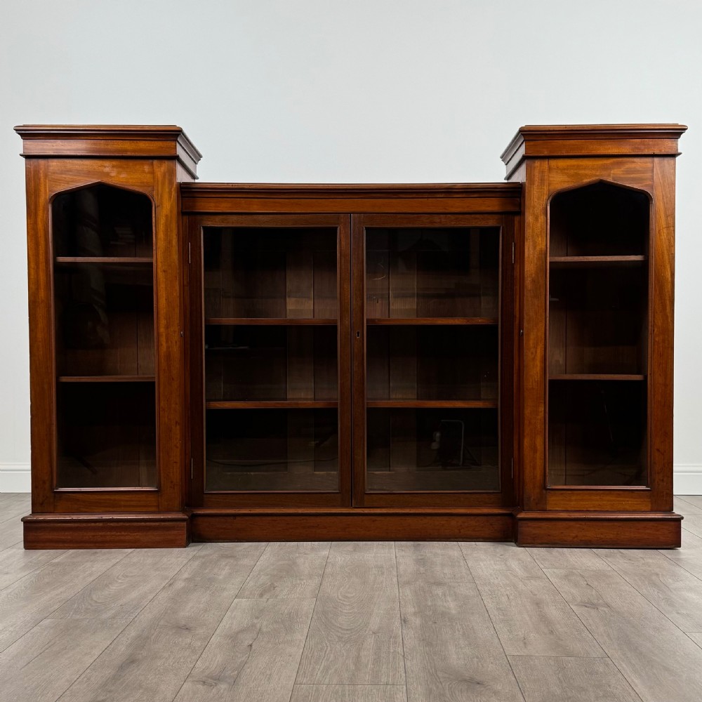Antique 19th Century Unusual Display Cabinet In Mahogany 