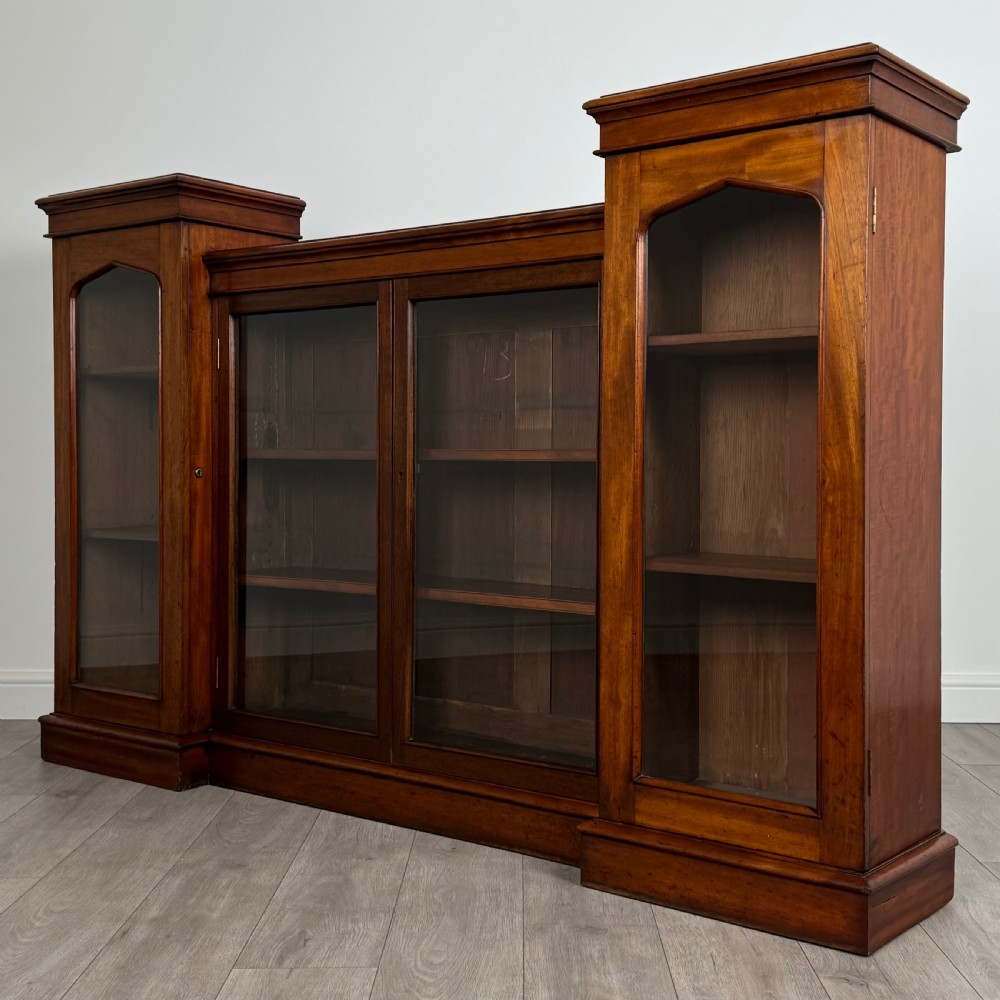 Antique 19th Century Unusual Display Cabinet In Mahogany  View III