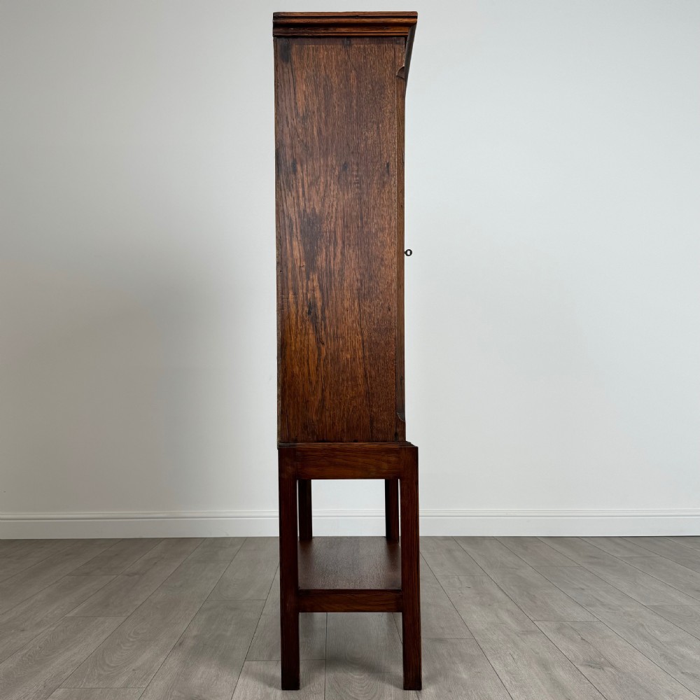 Antique 19th Century Small Oak Cupboard On Stand  View VIII