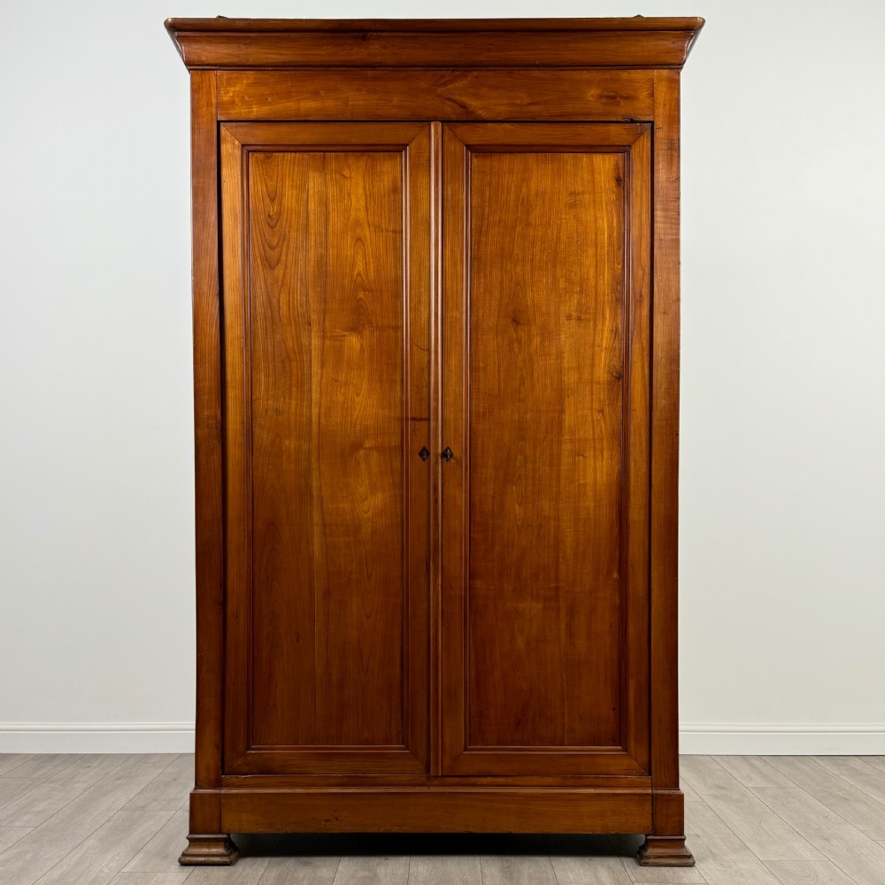 Antique 19th Century Fruitwood Wardrobe Of Good Quality