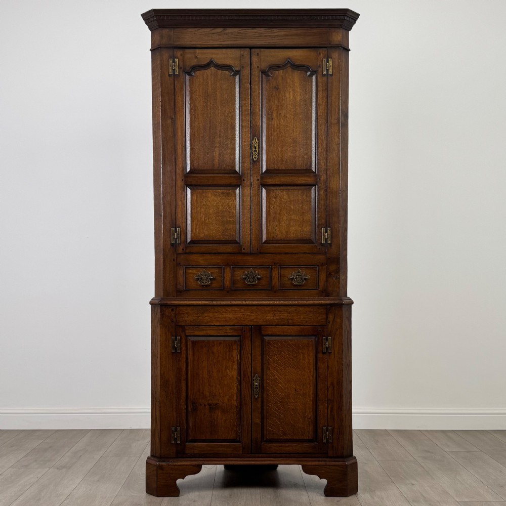 Antique 20th Century Fine Quality Corner Cabinet In Oak 