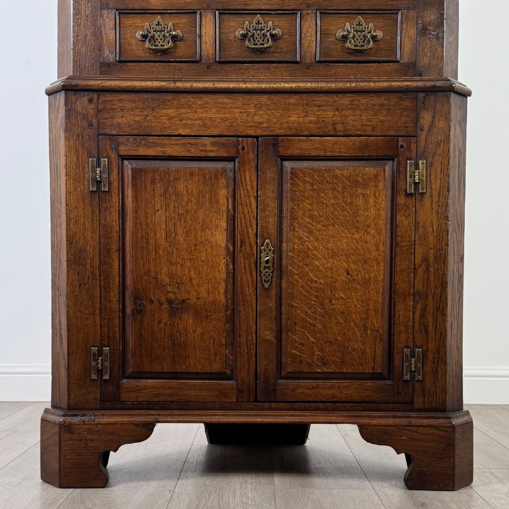 Antique 20th Century Fine Quality Corner Cabinet In Oak  View V