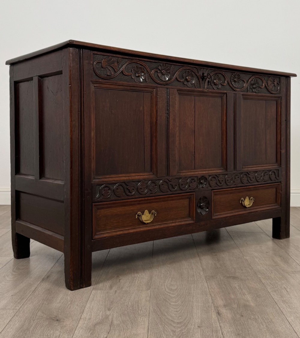 Antique 19th Century Carved Oak Mule Chest Of Good Quality  View VIII