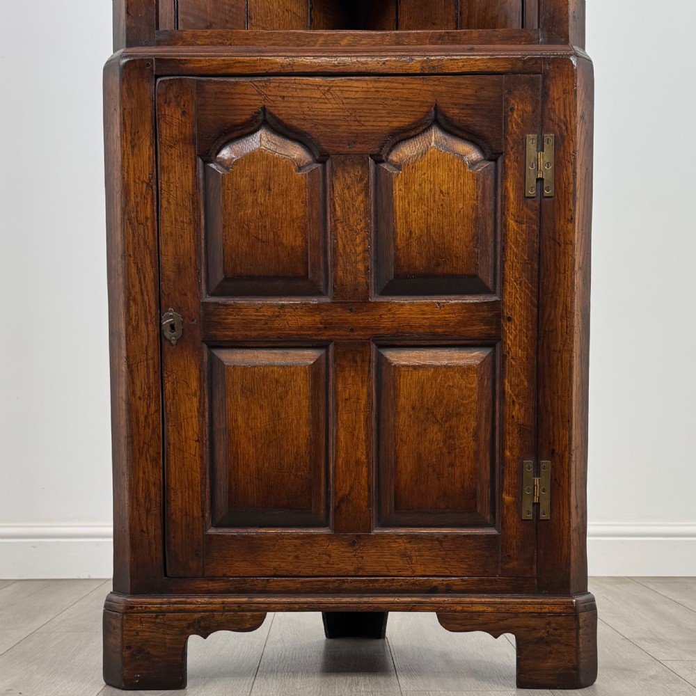 Antique 20th Century Fine Quality Corner Cabinet In Oak  View V
