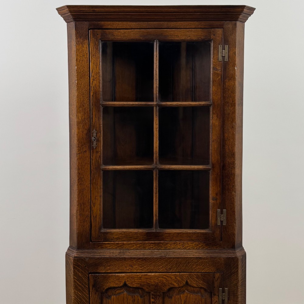 Antique 20th Century Fine Quality Glazed Oak Corner Cabinet  View V