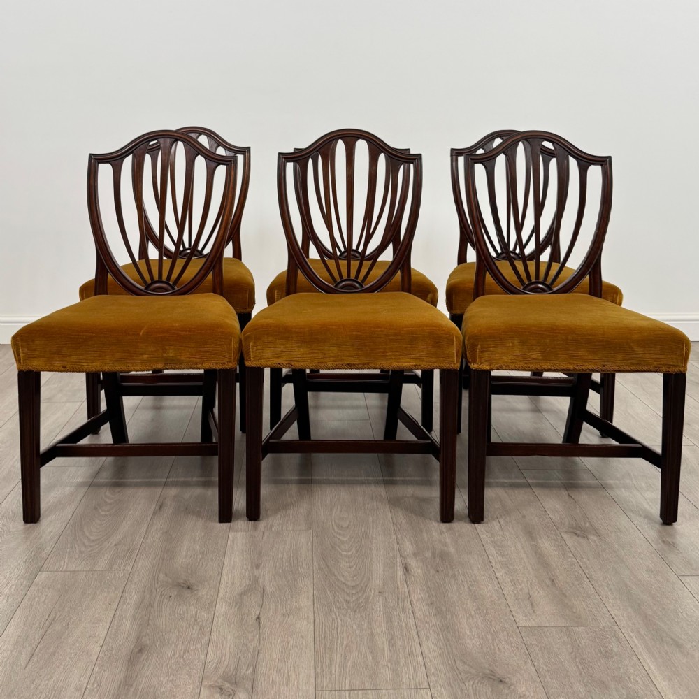 Antique 19th Century Set Of 6 Dining Chairs In Mahogany 