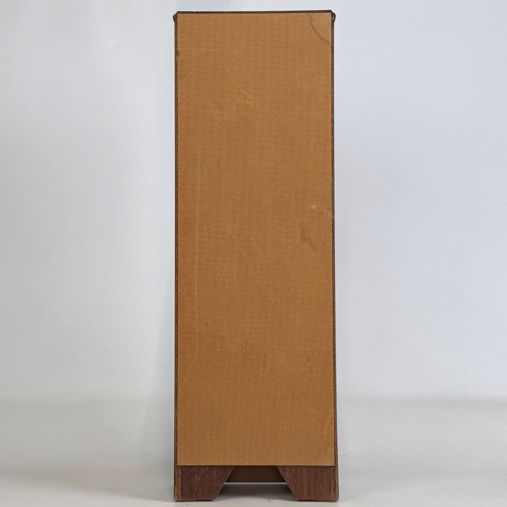Antique 20th Century Narrow Open Bookcase In Mahogany View VI