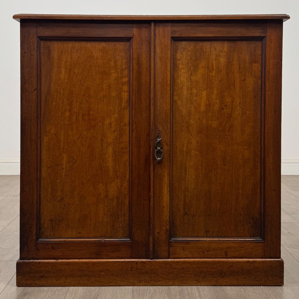 Antique 19th Century Small Victorian Cupboard In Mahogany