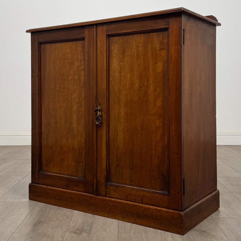 Antique 19th Century Small Victorian Cupboard In Mahogany View III