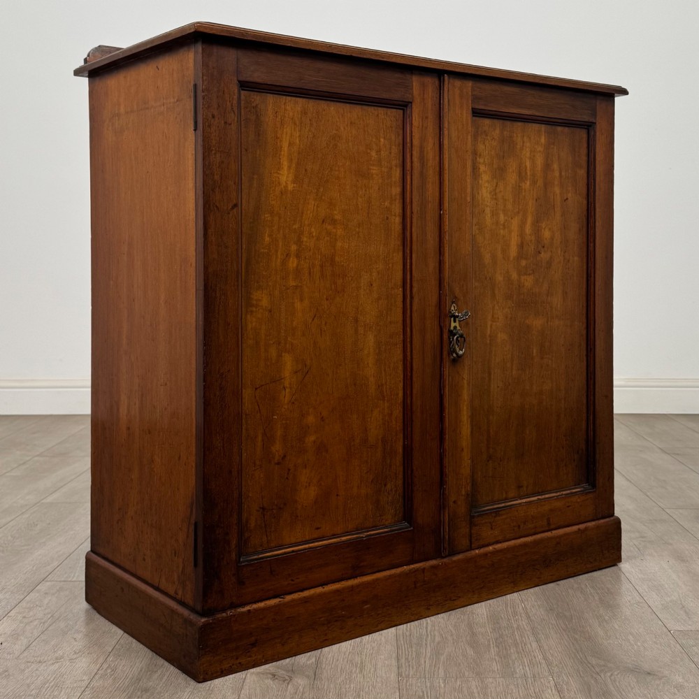 Antique 19th Century Small Victorian Cupboard In Mahogany View IX