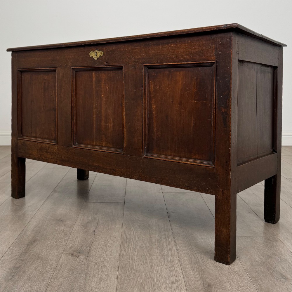 An 18th-century dark oak coffer featuring three sunken front panels, raised stiles, a hinged lid, and a central brass keyhole escutcheon. View II