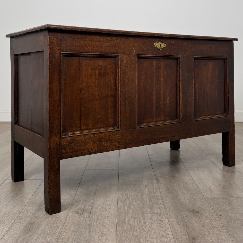 An 18th-century dark oak coffer featuring three sunken front panels, raised stiles, a hinged lid, and a central brass keyhole escutcheon. View VIII