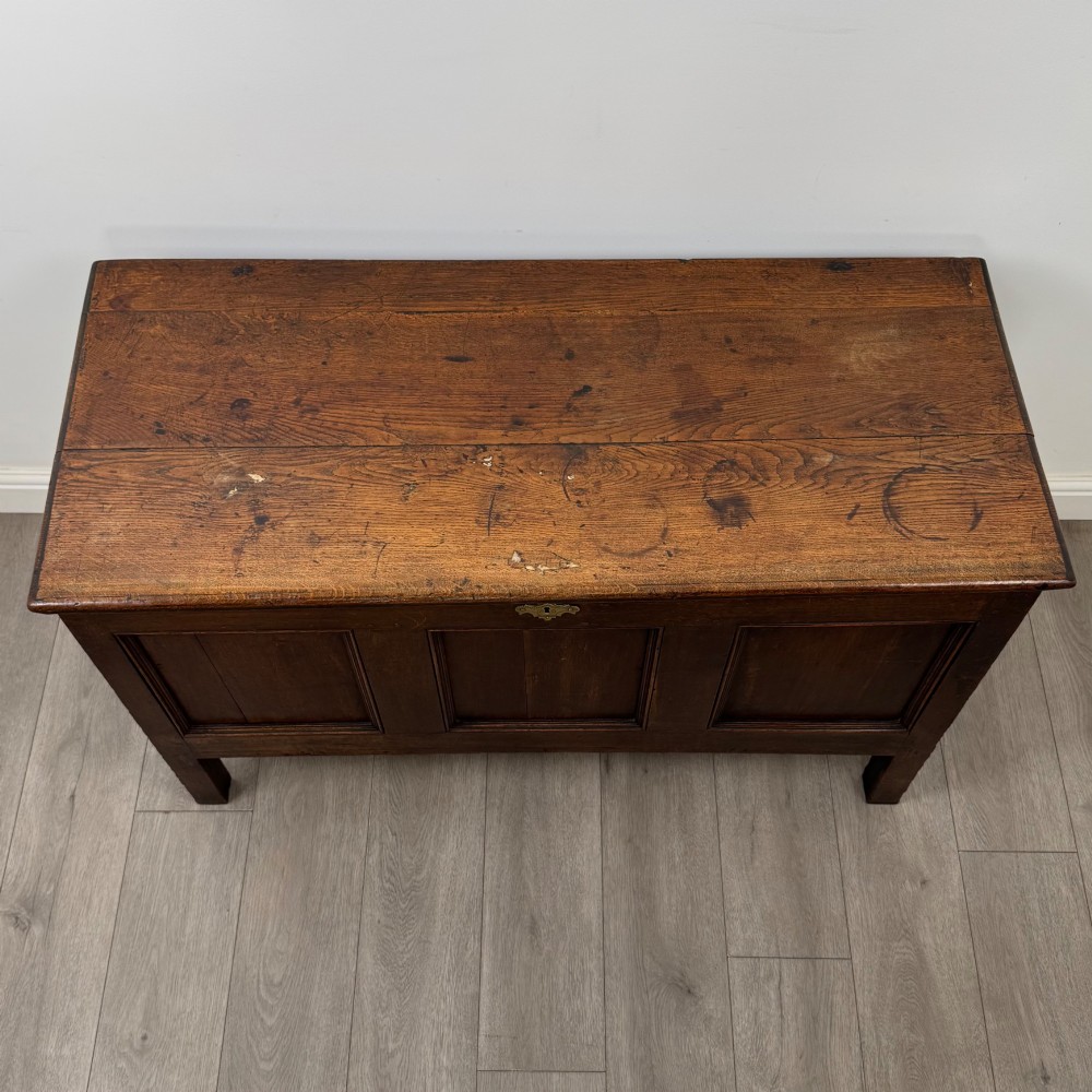 An 18th-century dark oak coffer featuring three sunken front panels, raised stiles, a hinged lid, and a central brass keyhole escutcheon. View IX