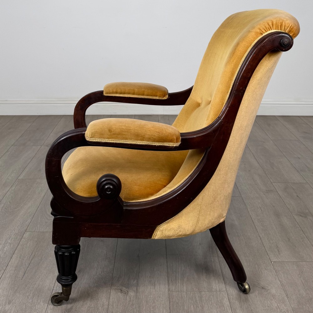 A pair of 19th-century William IV mahogany armchairs upholstered in mustard gold velvet featuring carved scroll arms and turned front legs on brass castors. View III