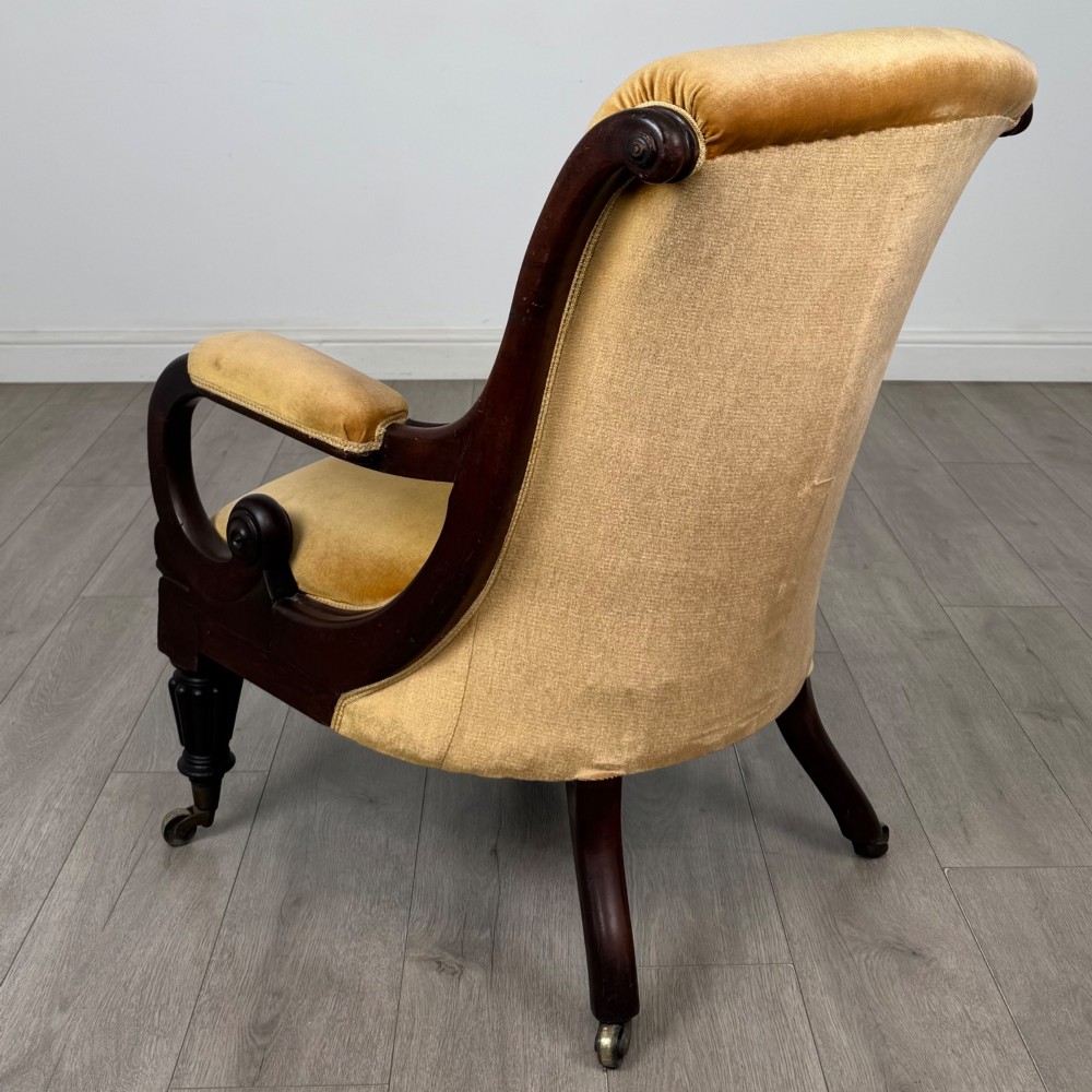 A pair of 19th-century William IV mahogany armchairs upholstered in mustard gold velvet featuring carved scroll arms and turned front legs on brass castors. View IV