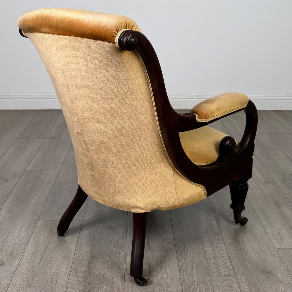 A pair of 19th-century William IV mahogany armchairs upholstered in mustard gold velvet featuring carved scroll arms and turned front legs on brass castors. View VI