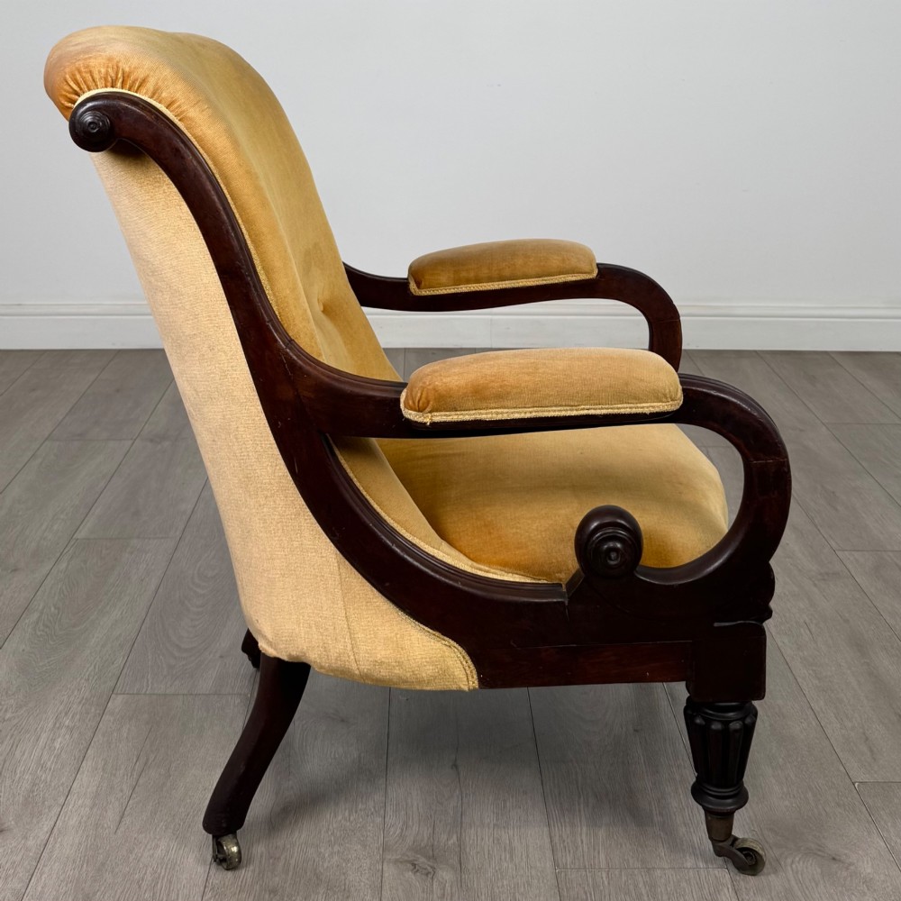 A pair of 19th-century William IV mahogany armchairs upholstered in mustard gold velvet featuring carved scroll arms and turned front legs on brass castors. View VII