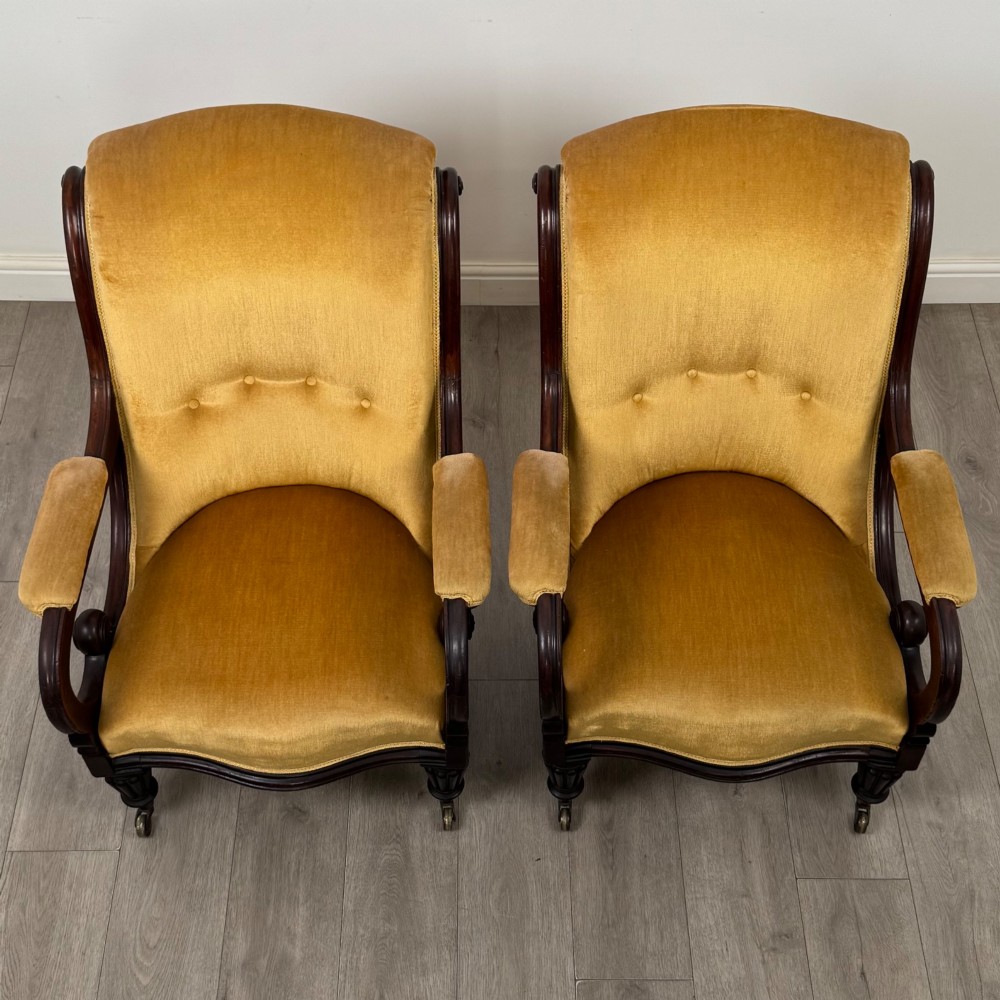 A pair of 19th-century William IV mahogany armchairs upholstered in mustard gold velvet featuring carved scroll arms and turned front legs on brass castors. View X