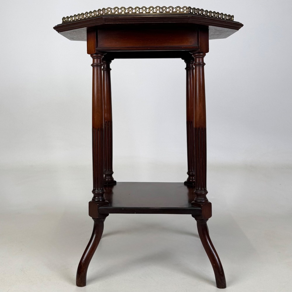 A 19th-century mahogany octagonal side table featuring a brass gallery rail, fluted turned legs, an undertier shelf, and splayed feet. View IV