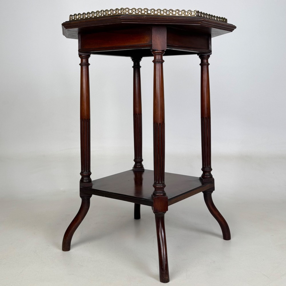 A 19th-century mahogany octagonal side table featuring a brass gallery rail, fluted turned legs, an undertier shelf, and splayed feet. View V
