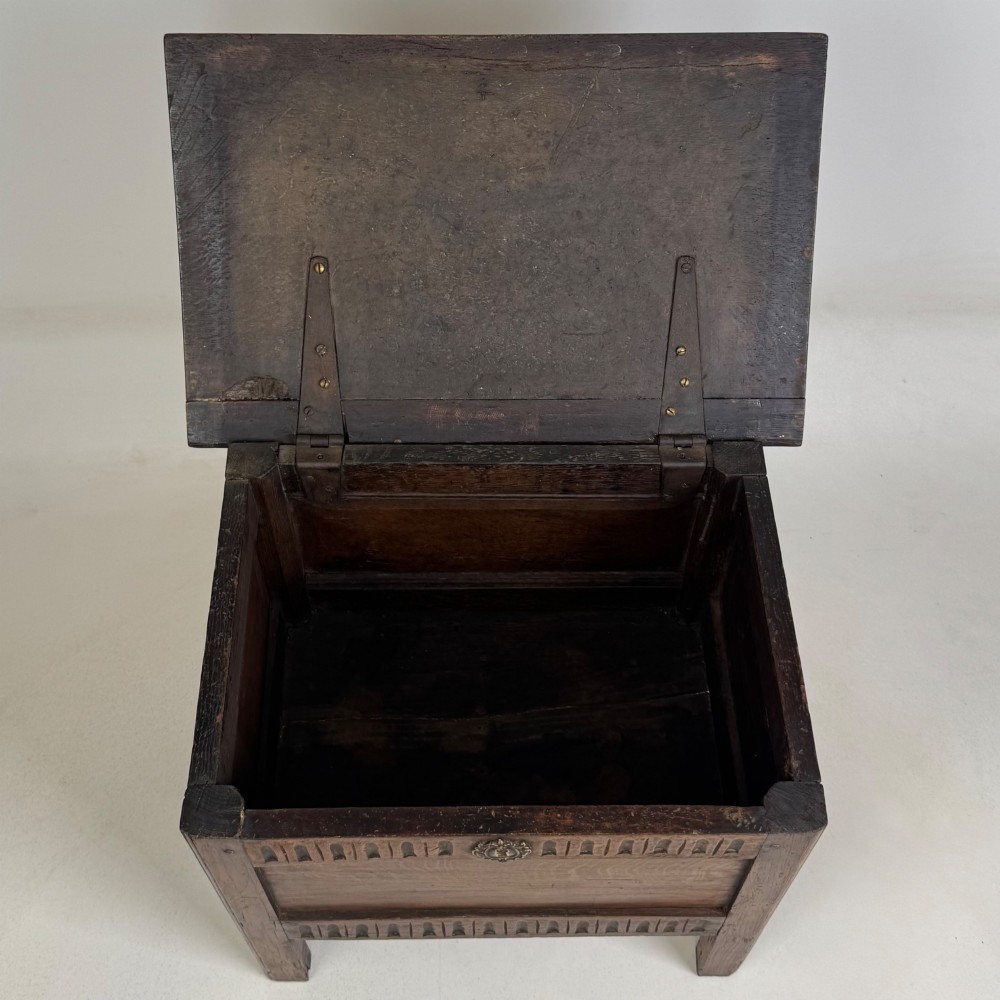 An 18th-century small oak coffer chest featuring carved vertical fluting along the top and bottom rails, a central decorative brass escutcheon, and straight squared legs. View X