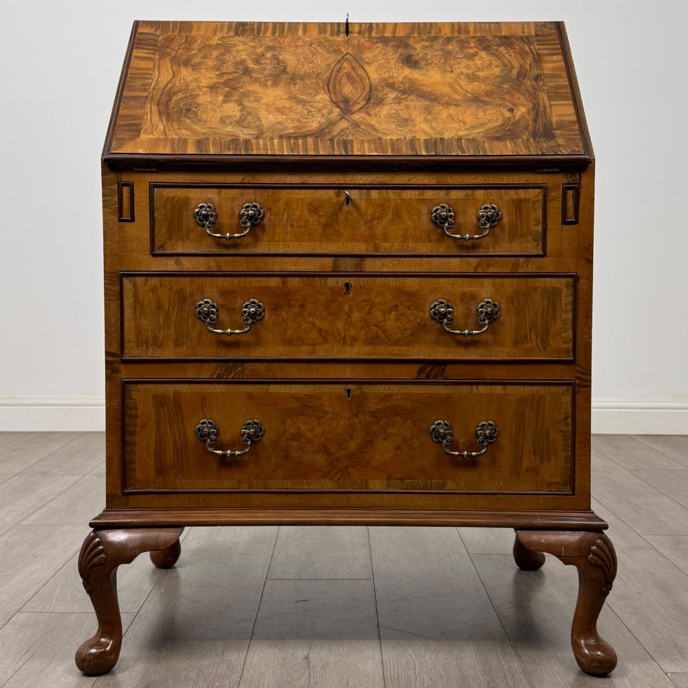 An Edwardian burr walnut writing bureau featuring a sloping fall front, three drawers with decorative brass handles, and cabriole legs.