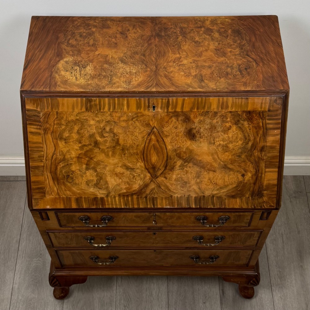 An Edwardian burr walnut writing bureau featuring a sloping fall front, three drawers with decorative brass handles, and cabriole legs. View X