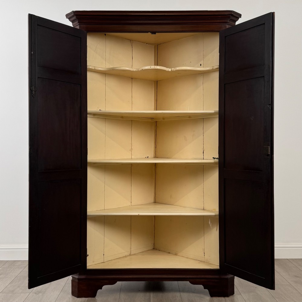 A tall 18th-century Georgian dark mahogany corner cabinet featuring panelled double doors, a moulded cornice, and bracket feet. View II