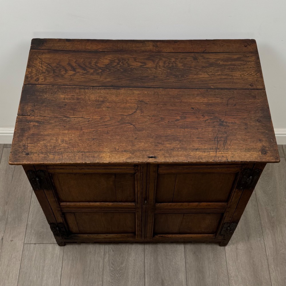 A seventeenth-century oak cupboard featuring two panelled doors with moulded trim and hand-forged iron hinges. View X