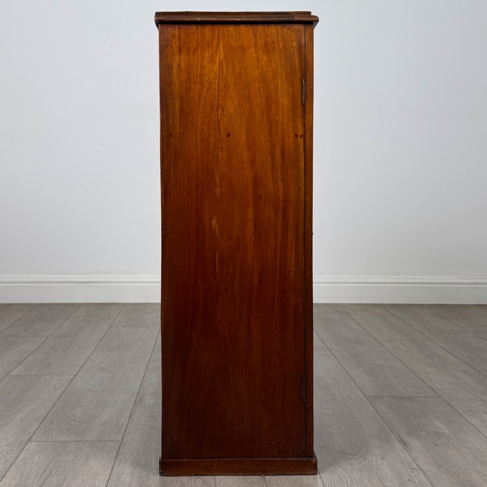 A small Victorian mahogany double-door cupboard featuring raised central panels, green circular brass flower mounts, and a decorative central keyhole. View VIII