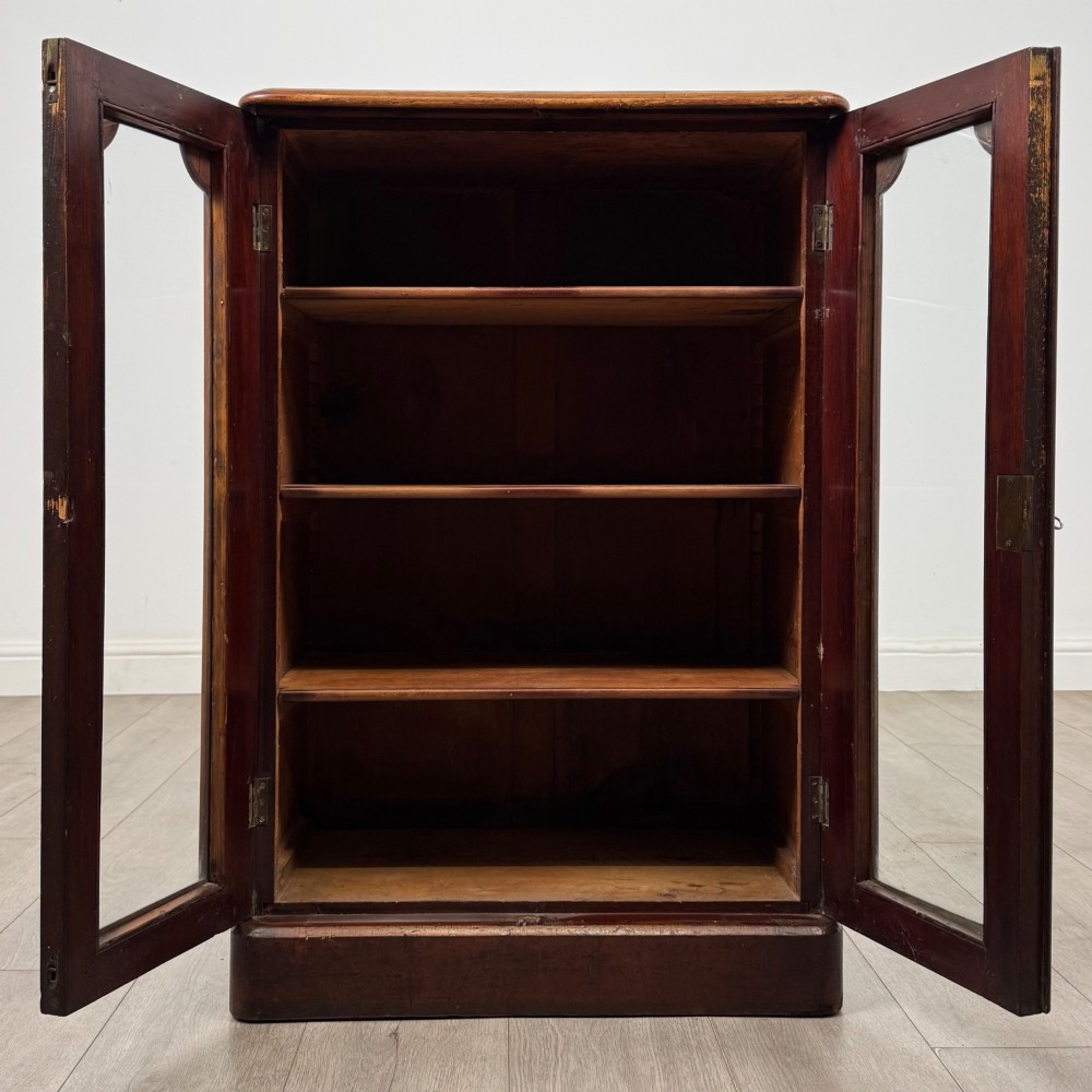 A nineteenth-century mahogany display cabinet featuring twin glazed doors with arched framing and a plinth base. View II