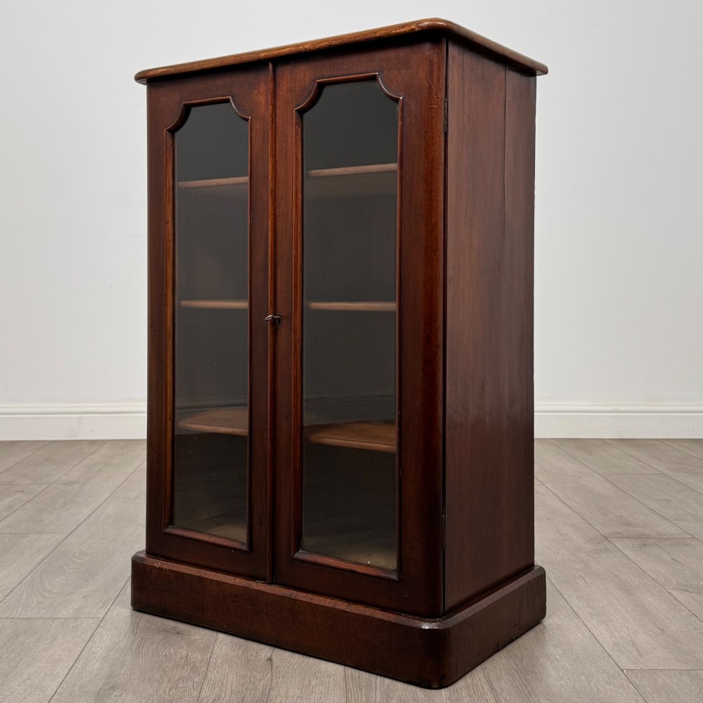A nineteenth-century mahogany display cabinet featuring twin glazed doors with arched framing and a plinth base. View III