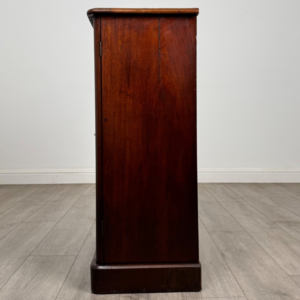 A nineteenth-century mahogany display cabinet featuring twin glazed doors with arched framing and a plinth base. View IV